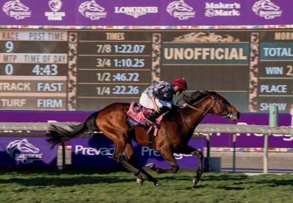 Unquestionable (Wootton Bassett) Wins The Grade 1 Breeders’ Cup Juvenile Turf at Santa Anita