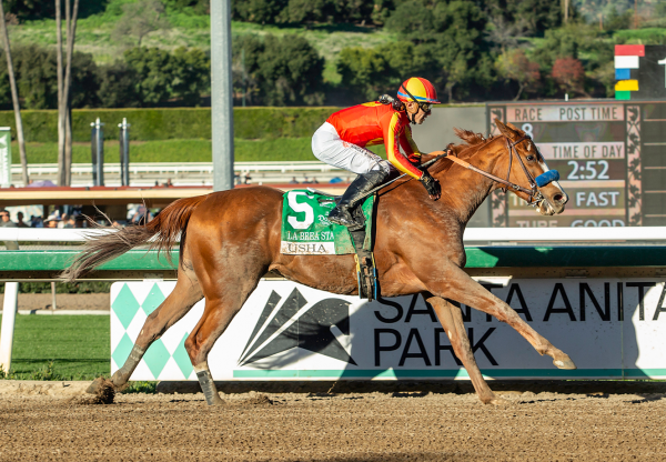 Usha Tiz The Law Wins G1 La Brea