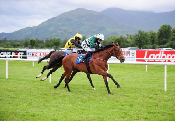 Verdana Blue (Getaway) winning a bumper at Killarney