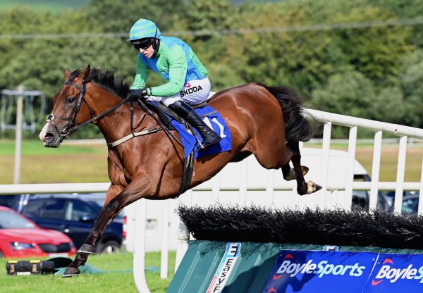 Via Rosa (Milan) Wins The Mares Maiden Hurdle At Sligo