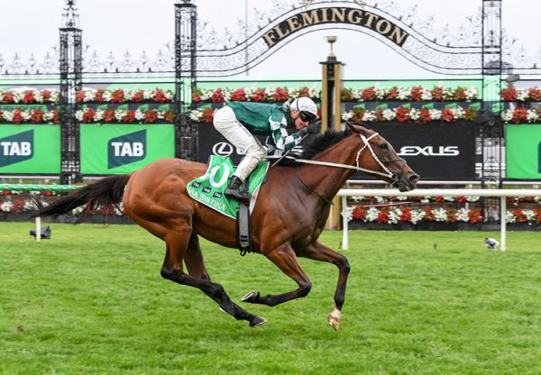 Via Sistina Champions Stakes 2025 750