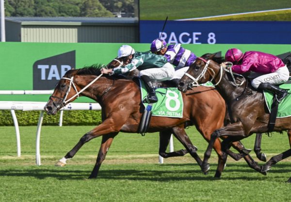 Via Sistina (Fastnet Rock) Verry Elleegant 750