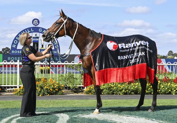 Via Sistina (Fastnet Rock) Ranvet Rug 750