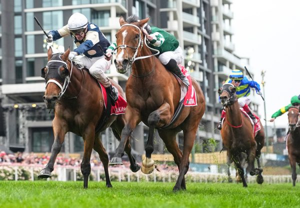 Via Sistina Cox Plate 2025 750