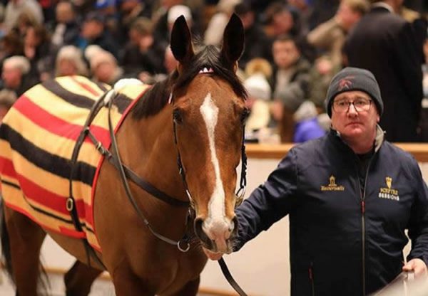 Via Sistina (Fastnet Rock) selling for 2,700,000gns at Tattersalls