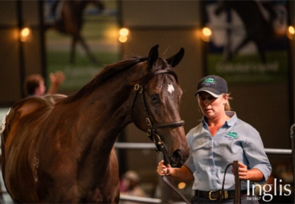 Wb X Elegant Air Heaed 750