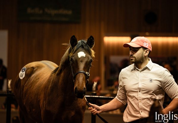 Wb X Jadeerah Inglis Great Southern