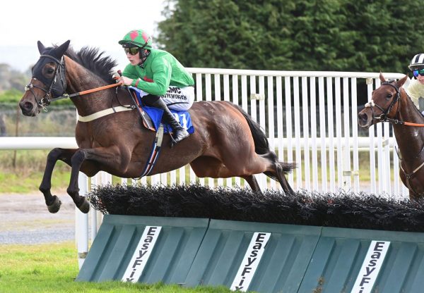 Walks The Talk Walk In The Park Roscommon