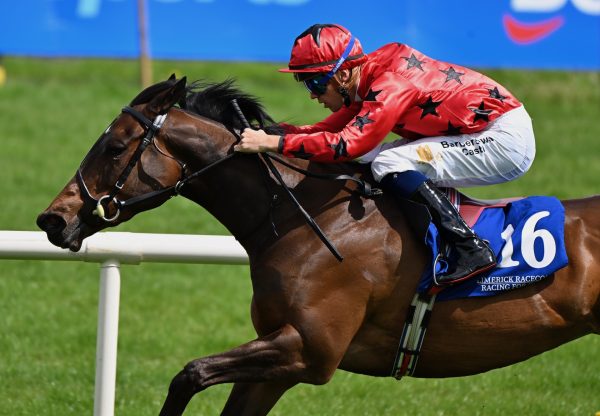 Wannabe Royal (Wootton Bassett)Wins Her Maiden At Limerick