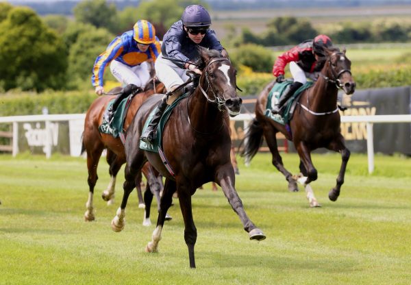 Warsaw (wootton bassett) Wins On Debut