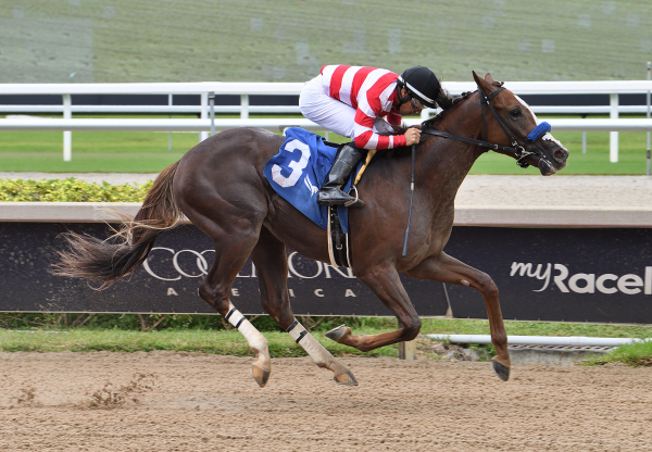 Waynes Law Tiz The Law Wins Aventura