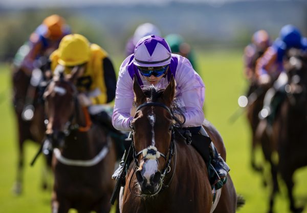 Wemightakedlongway (Austra;lia) Wins The Salsabil Stakes