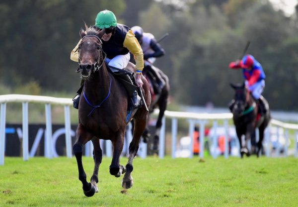 Western Victory (Westerner) Wins The 2021 Listed Pat Walsh Memorial Mares Hurdle At Gowran Park