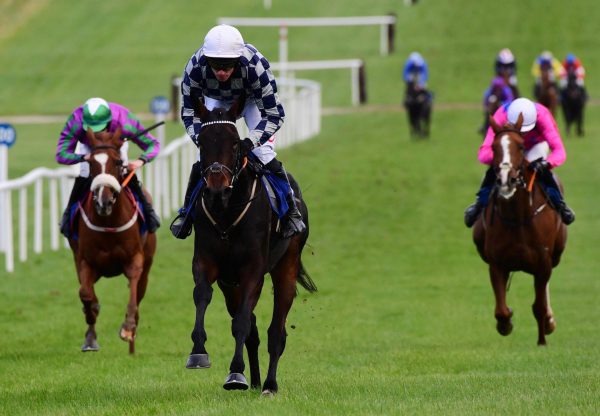 Wheres Maud Gone (Yeats) Wins The Bumper At Thurles