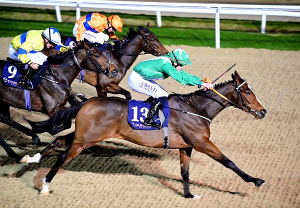 Whispering Royal (Gustav Klimt) Makes A Winning Debut At Dundalk