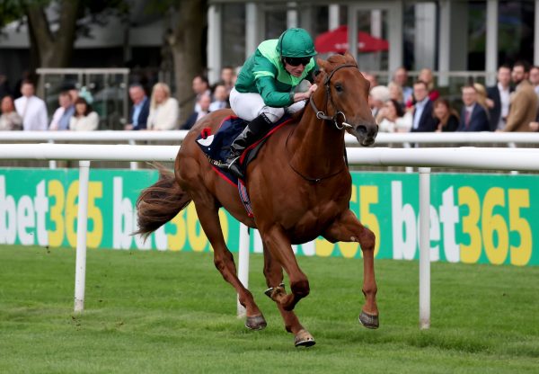 Whistlejacket (No Nay Never) Wins The Group 2 July Stakes