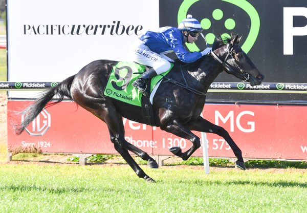 Wiltshire Square (wootton bassett) Werribee 750