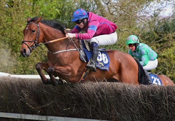 Wings And Wands (Wing of Eagles) wins at Borris House