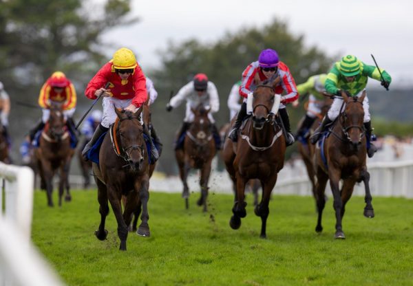 Winning Smut (yeats) Galway