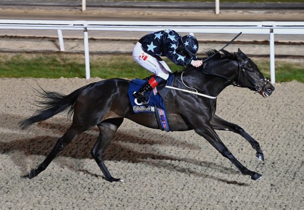 Woodshaw Whisper (Wootton Bassett) Wins His Maiden At Dundalk
