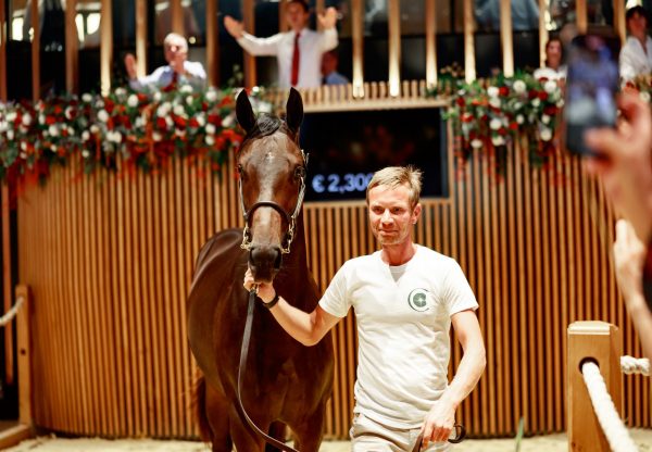 Wootton Bassett X High Celebrity Colt Arqana