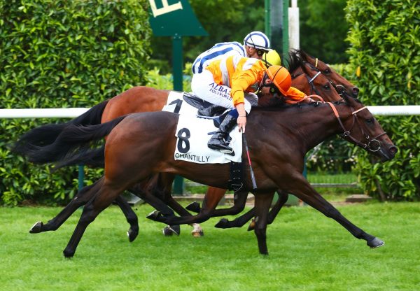 Wootton City (Wootton Bassett) Wins The Listed Prix La Fleche at Chantilly
