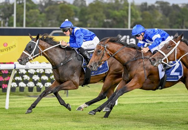 Wootton Way Canterbury 750