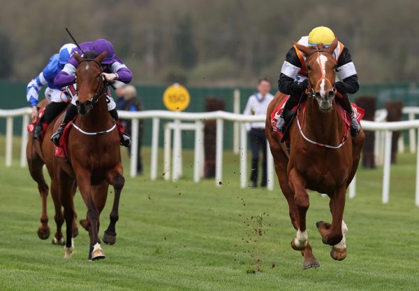 You Send Me (Starspangledbanner) Wins Her Maiden At Cork