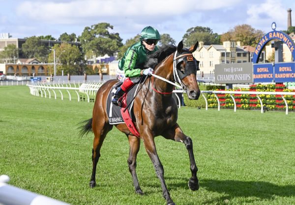 You Wahng (so you think) Randwick 750