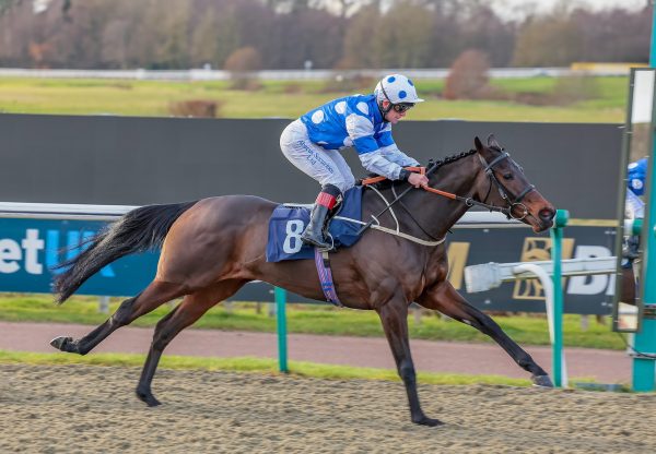 Zandita (Calyx) Wins On Debut at Lingfield