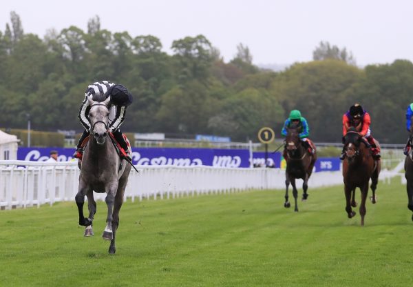 Zinc White (Vadamos) Wins Impressively At Sandown