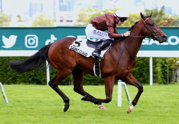 Zulu Kingdom (Ten Sovereigns)