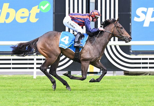 Almost A Angel Caulfield 750