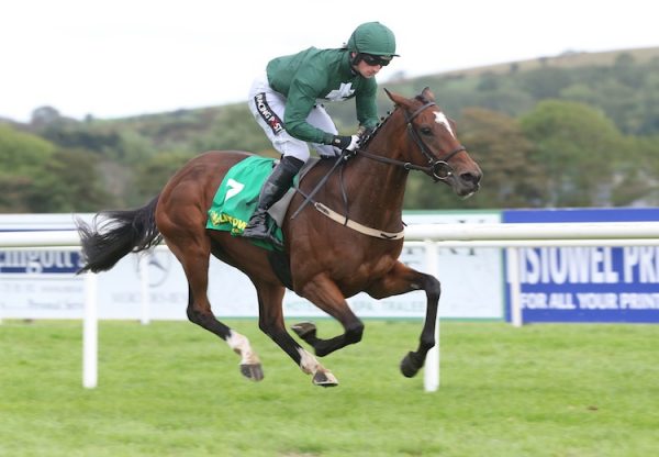 Augusta Kate (Fairyhouse)