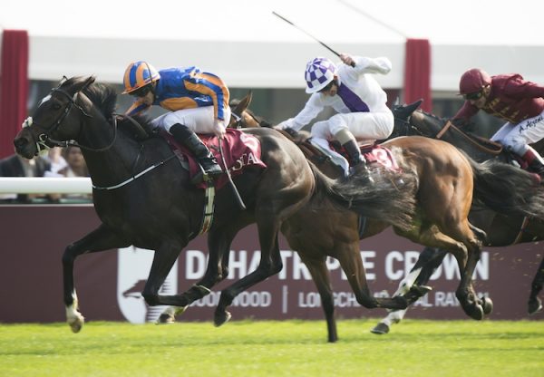 Ballydoyle (Galileo) winning the Prix Marcel Bousac
