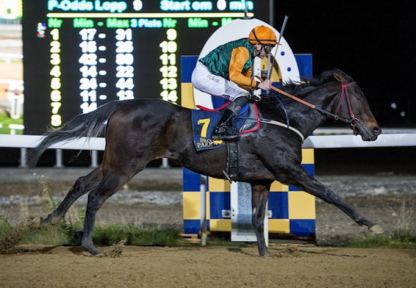 Bokan (Soldier Of Fortune) winning at Bro Park
