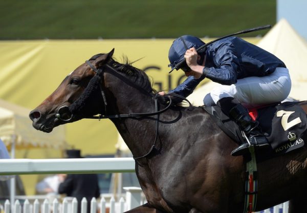 Curvy (Galileo) winning at Royal Ascot