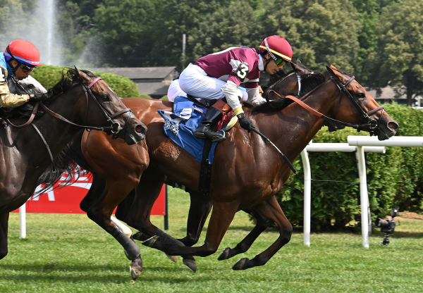 Deep Satin (American Pharoah) Wins The De La Rose