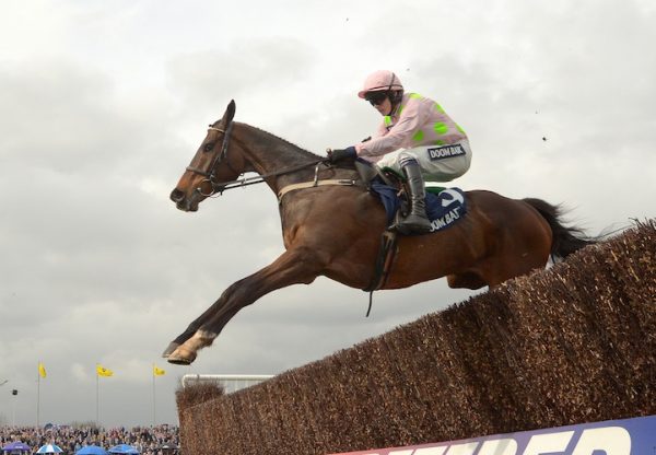 Douvan (Walk In The Park) winning at Aintree