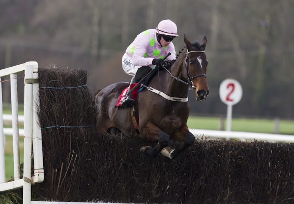 Douvan (Walk In The Park) winning the Hilly Way at Cork