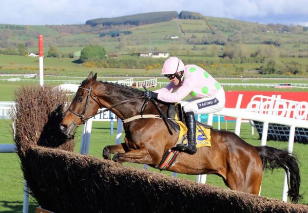 Douvan (Walk In The Park) winning at Punchestown