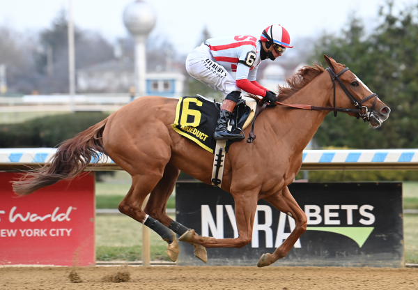 Fully Subscribed Tiz The Law Wins Gr 3 Comely