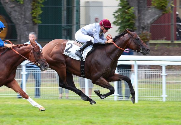 Heshem (Footstepsinthesand) winning the G2 Prix Eugene Adam at Maisons-Laffitte