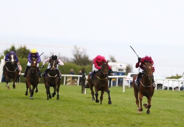 Imperial Way (Getaway) winning a bumper at Wexford