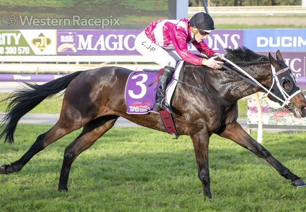 Opportunistic (so you think) Belmont Guineas