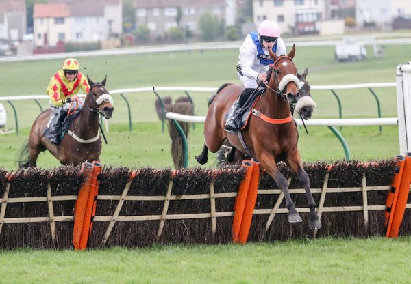 Return Ticket (Getaway) winning a maiden hurdle at Ayr