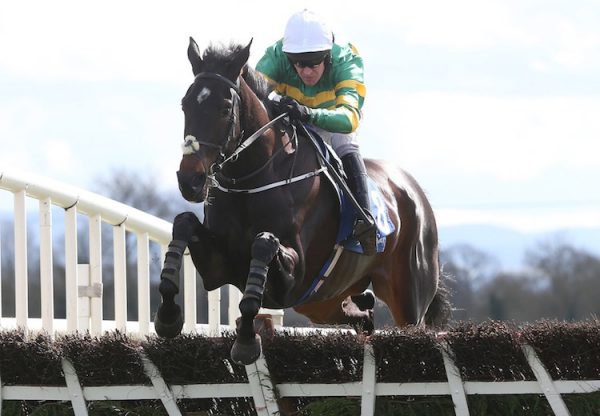 Slowmotion (Soldier Of Fortune) winning the G2 REA Grimes Property Consultants Juvenile Hurdle at Fairyhouse