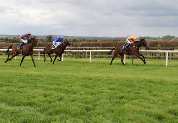 Torcedor (Fastnet Rock) winning the G3 Vintage Crop Stakes at Navan