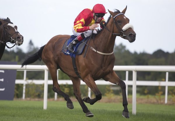 Zhukova (Fastnet Rock) winning the G3 Enterprise Stakes at Leopardstown