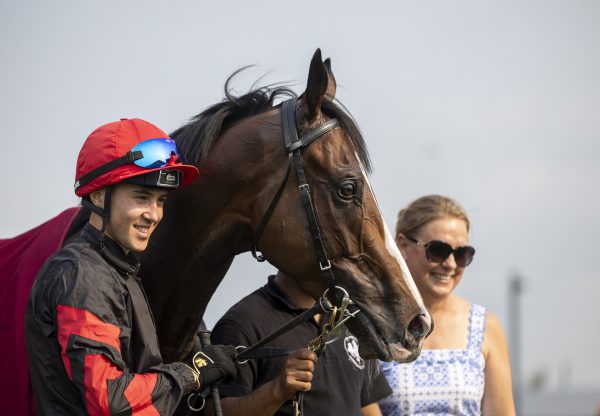 ​​ Leinster (camelot) curragh